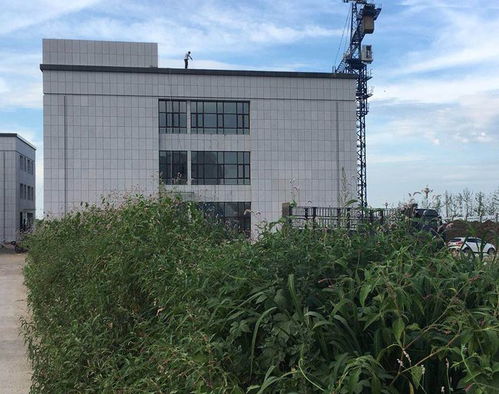 瑪蒂耐特貝殼粉與市政工程完成對接，助力綠色建筑工程發展